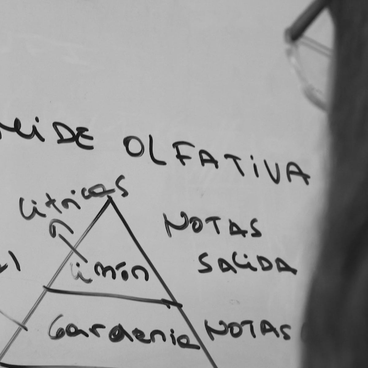 Cargar vídeo: 